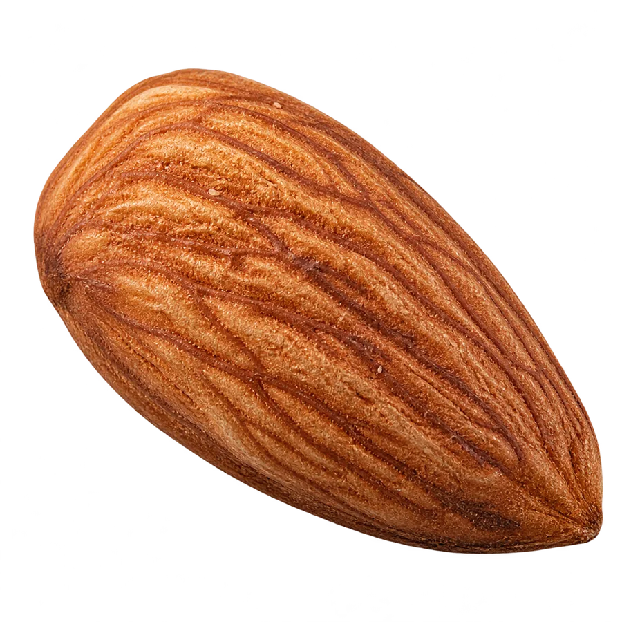 Salted Almond Kernels