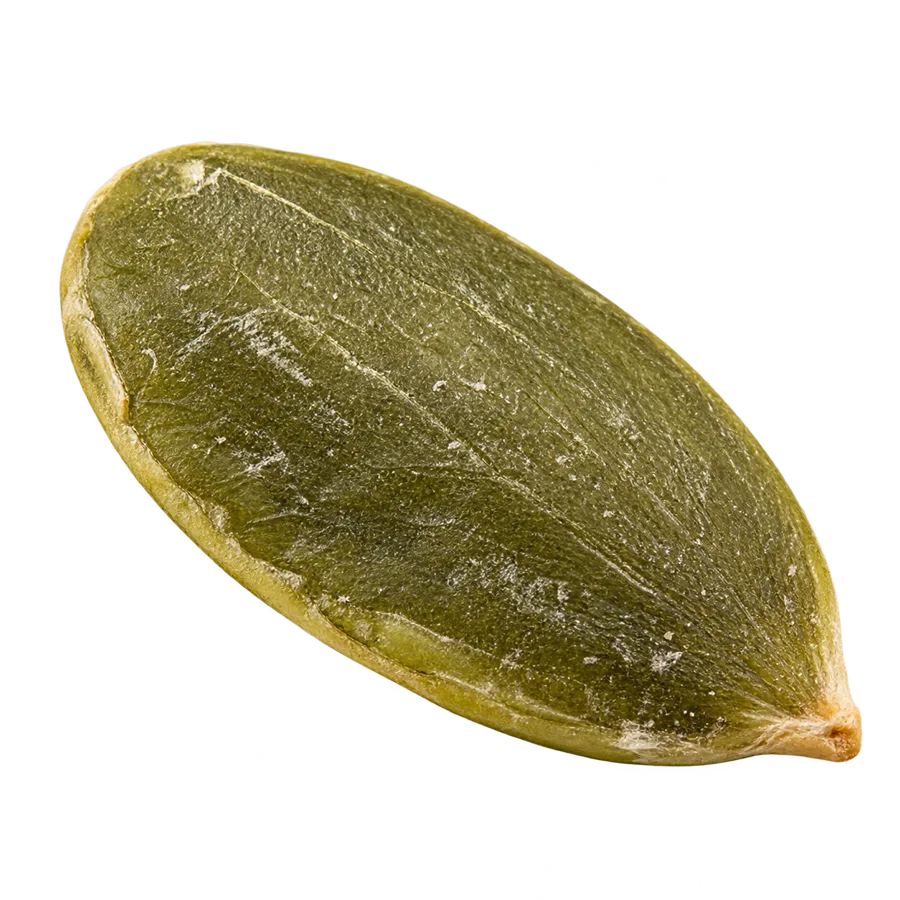 Kabak Çekirdeği